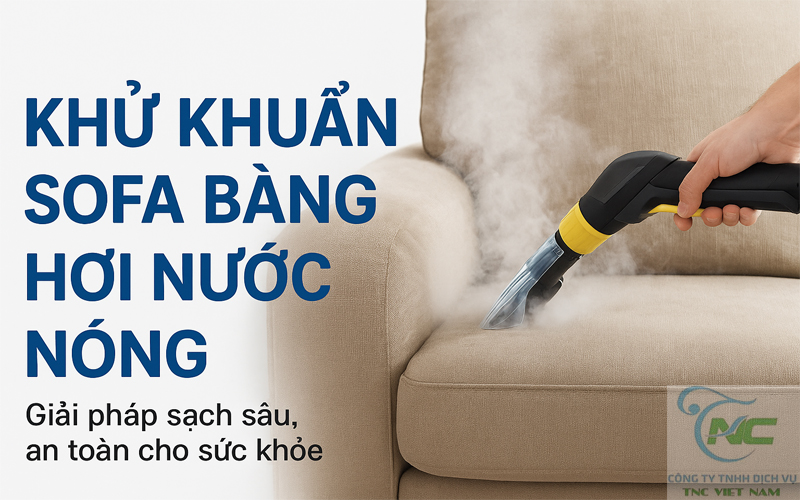 Khử khuẩn sofa bằng hơi nước nóng