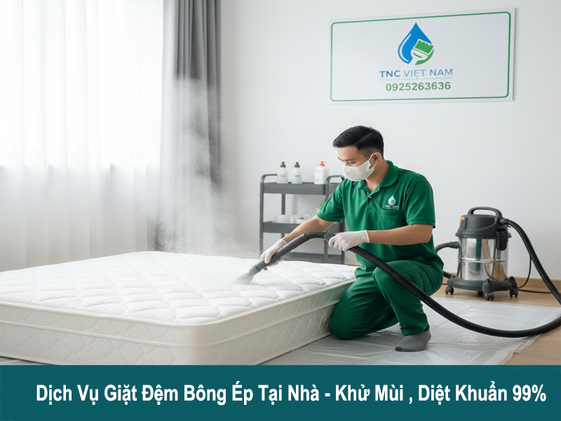 Vệ sinh nệm bông ép