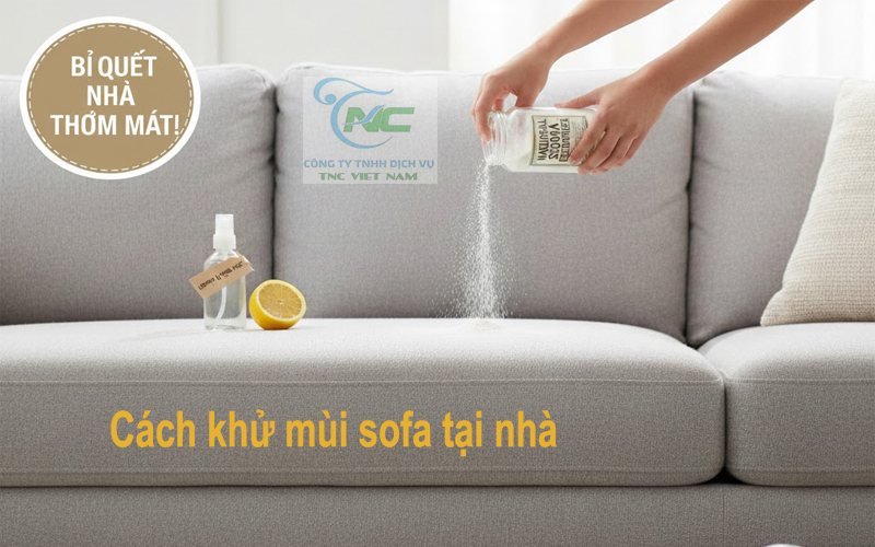 Cách khử mùi sofa tại nhà