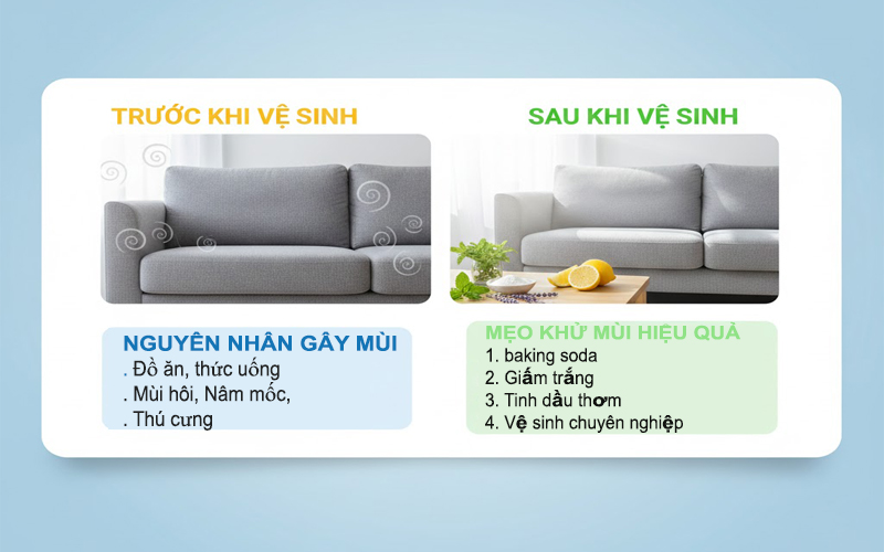 Ghế sofa có mùi hôi phải làm sao?